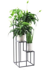 Virágtartó állvány JAKPOL Metallo 112 cm antracitszürke fém loft 4 virágnak small 0
