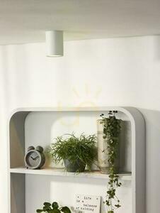 Lucide BENTOO-LED felületre szerelhető mennyezeti spotlámpa fehér GU10 LED 5 W 3000 K Ø8 cm 09912/05/31 small 2