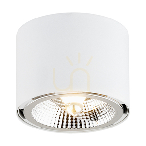Plafonlámpa ARGON CLEVLAND fehér GU10 1x1W 4692 BZ small 0