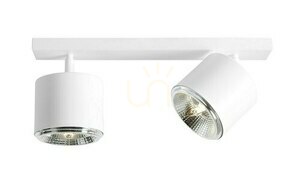 Mennyezeti lámpa Aldex Bot 2 fehér 2xGU10-AR111 1046PL_H small 0