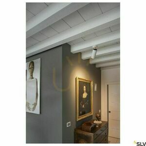 Mennyezeti spotlámpa SLV NUMINOS XL PHASE fehér-fekete 36W 3000K 1006093 small 3