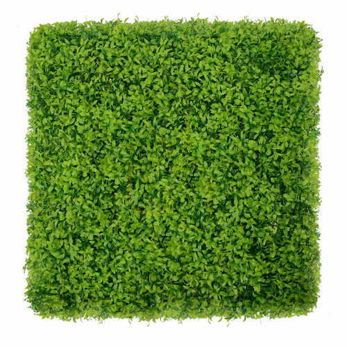 Jelölje be Buxus zöld fal 40x60cm
