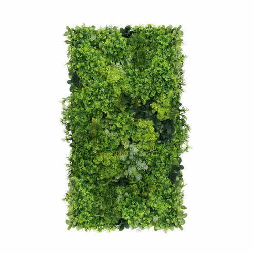 Jelölje be Green Designers Moss Mesh GD136 függőleges kert 50 × 100 cm