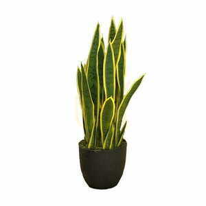 Sansewieria Laurentii műnövény 65cm small 0