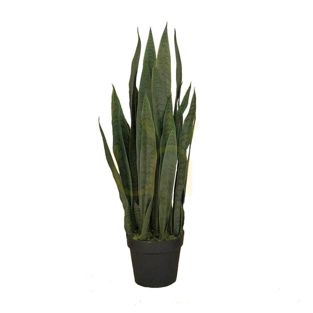 Jelölje be Sansevieria Zelenica műnövény 90cm Sansevieria Zelenica műnövény 90cm