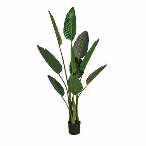 Jelölje be Mesterséges cserepes növény Strelitzia 155cm