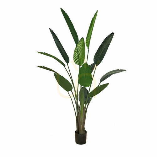 Jelölje be Mesterséges cserepes növény Strelitzia 180cm