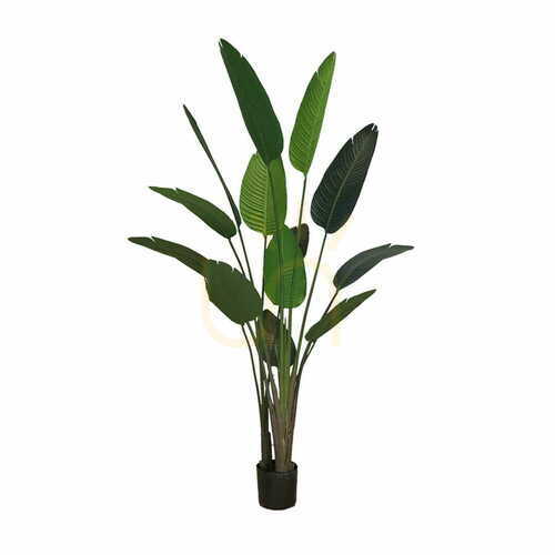 Jelölje be Mesterséges cserepes növény Strelitzia 220cm