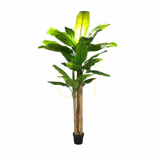 Jelölje be Mesterséges banánfa 250cm