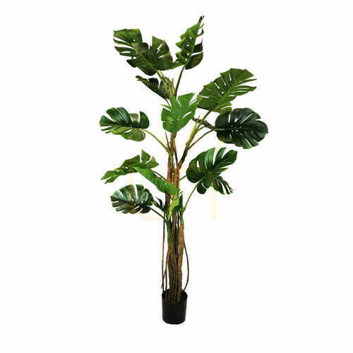 Jelölje be Monstera műcserép 210cm