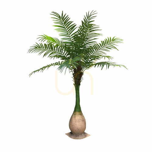 Jelölje be Mesterséges Dypsis Areka pálma 250cm