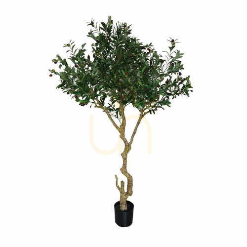 Jelölje be Mesterséges olajfa Olive 205cm