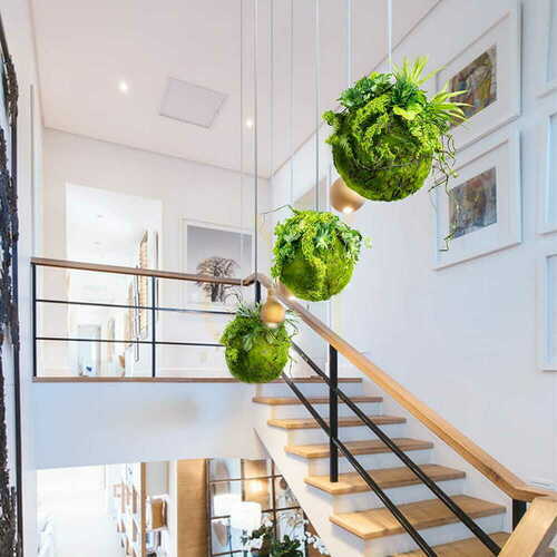 Jelölje be Dekoratív kokedama moha gömb 35 cm