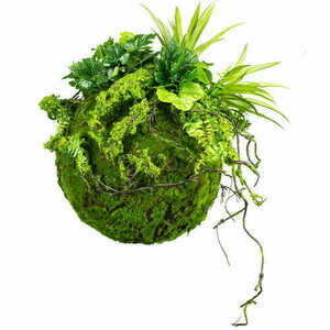 Dekoratív kokedama moha gömb 35 cm small 0