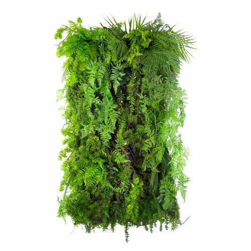 Jelölje be Green Designers Limba Wilderness függőleges kert GD119 50 × 100 cm