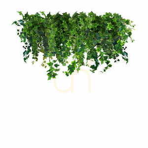 Ivy Rain 100cm álmennyezet small 0