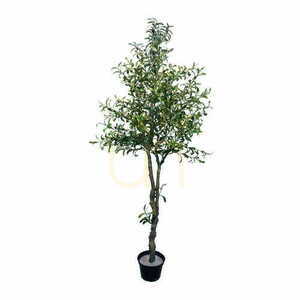 Mesterséges 🌳 olajfa 🌳 olajfa 210cm - Premium small 0