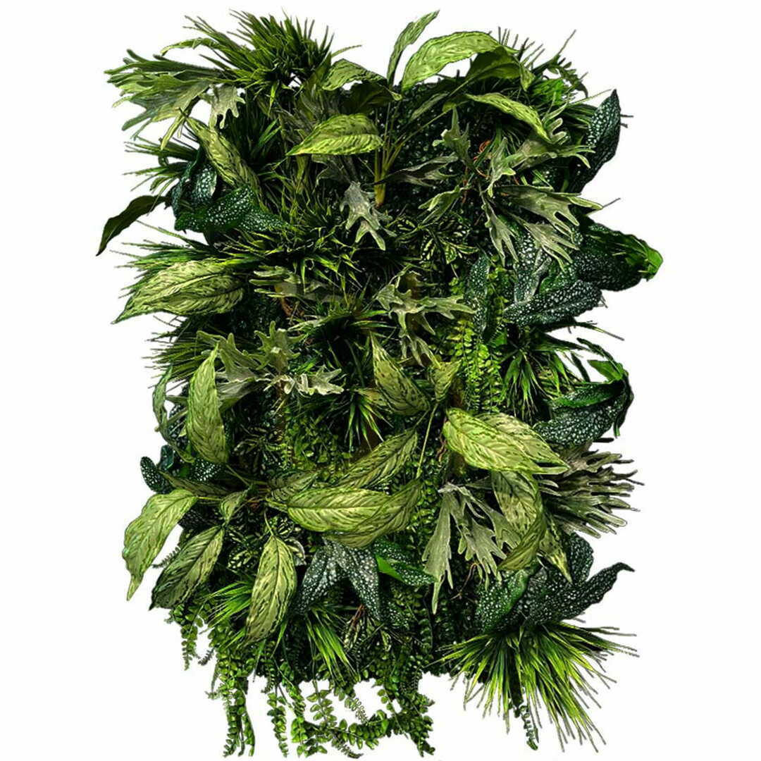 Jelölje be Flora Twist függőleges kert Flora Twist függőleges kert