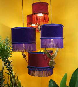 LAVANDERA N°1 Las Plumas small 4