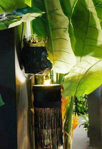 Jose Las Plumas small 4