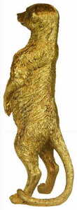 TONY Las Plumas 4 TONY Las Plumas small 4
