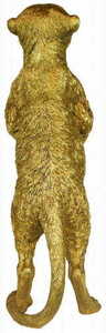 TONY Las Plumas 5 TONY Las Plumas small 5