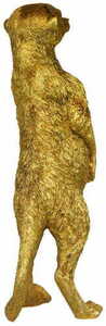 TONY Las Plumas 6 TONY Las Plumas small 6