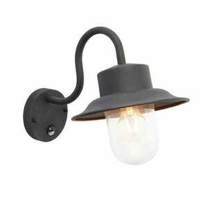 Fali lámpa Endon Chesham PIR fekete acél üveg E27 IP44 70331 small 0