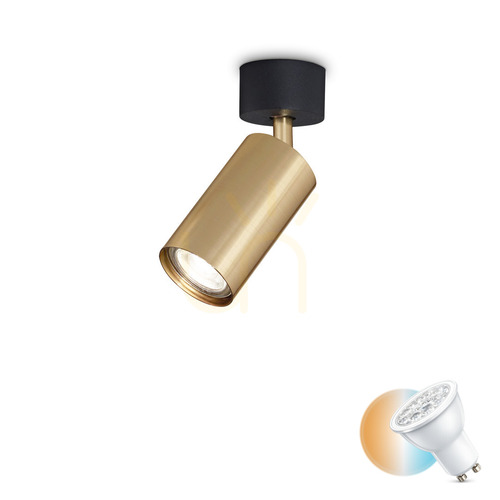 Jelölje be Plafonlámpa Ideallux DYNAMITE PL1 fekete GU10 1x28W 244662