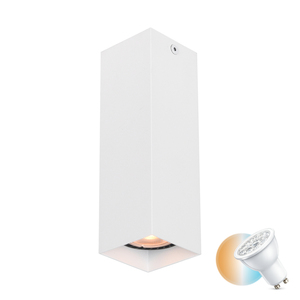 Felületre szerelhető lámpa Italux GU10 LED fehér alumínium CLN-28394-M-WH small 0