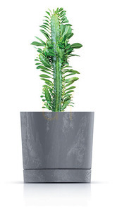 TUBO P BETON EFFECT fagyálló virágcserép - beton 14,5 L 1 TUBO P BETON EFFECT fagyálló virágcserép - beton 14,5 L small 1