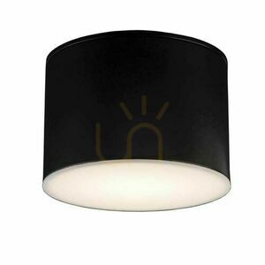 Mennyezeti lámpa Antigo Suwa fekete GX53 LED 10 cm 8052 small 0