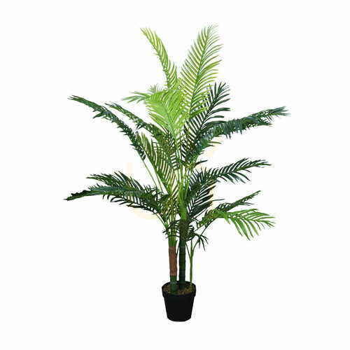 Jelölje be Chamedora pálma dísznövény 150 cm