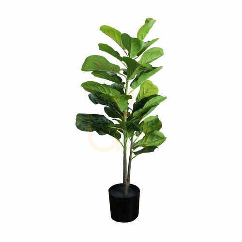 Jelölje be Dekoratív növény Ficus 90cm