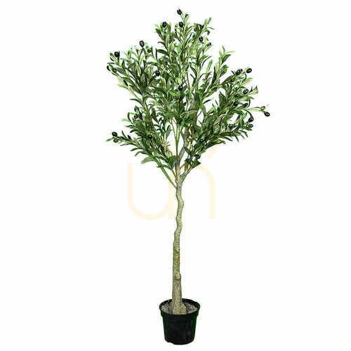 Jelölje be Mesterséges olajfa Olive 150cm