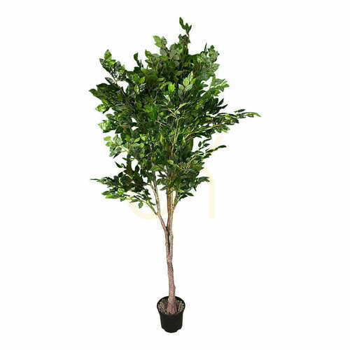 Jelölje be Mesterséges Ficus Benjamin növény 180cm