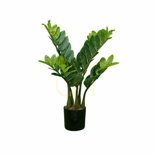 Jelölje be Mesterséges Zamioculcas növény 60cm