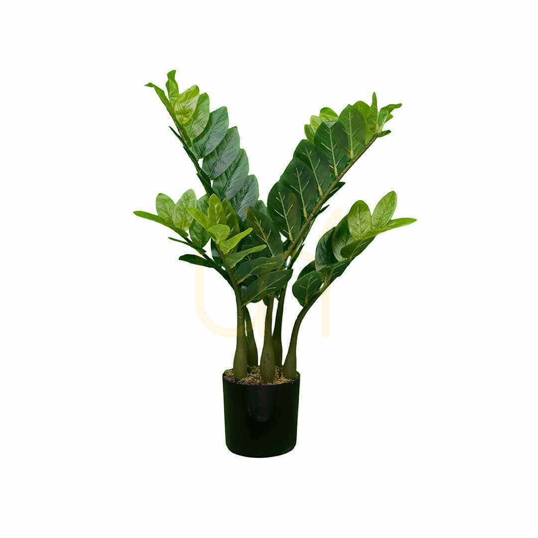 Jelölje be Mesterséges Zamioculcas növény 60cm Mesterséges Zamioculcas növény 60cm