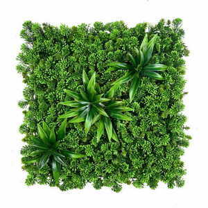 Műnövény zöldfal Sukulent 50×50 cm Green Designers GD 640 small 0