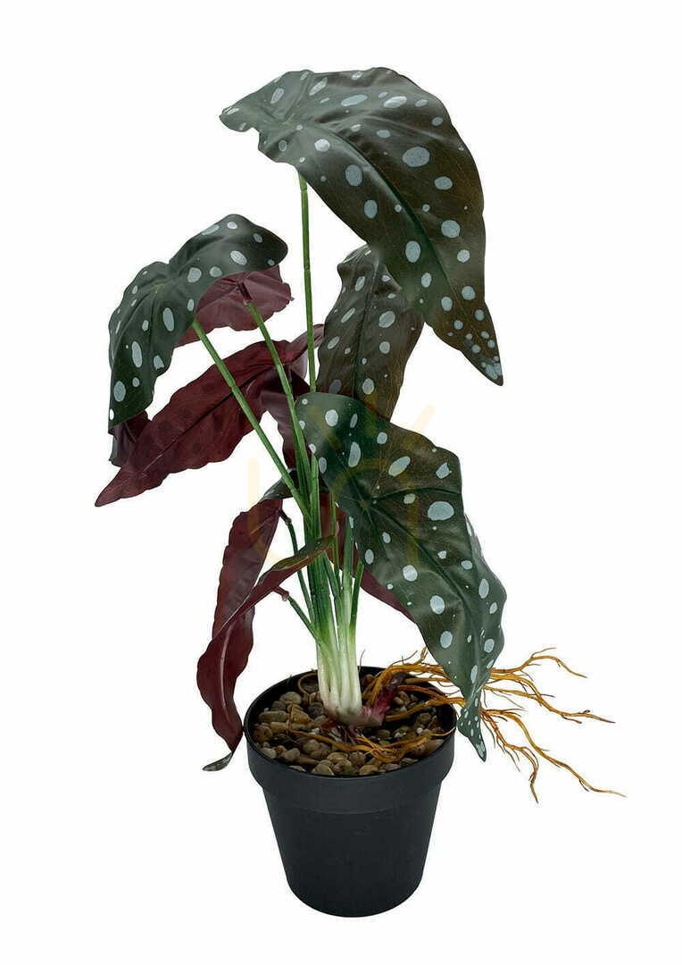 Kijelző Mesterséges Begónia korall növény 45 cm Mesterséges Begónia korall növény 45 cm