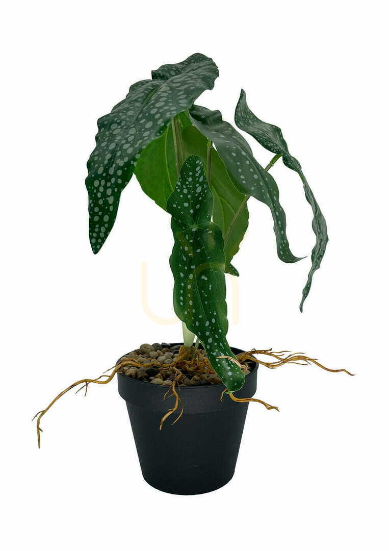 Előnézet Mesterséges Begónia növény 26 cm Mesterséges Begónia növény 26 cm