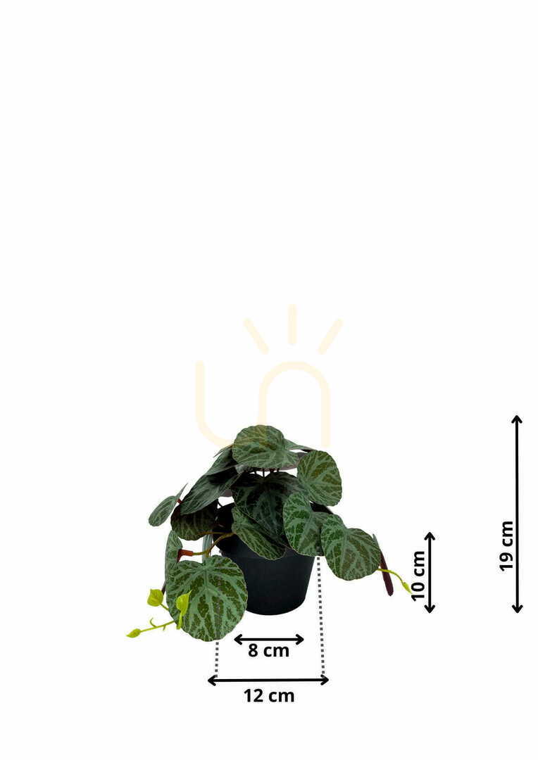 Kilátás Mesterséges Pilea növény 19 cm Mesterséges Pilea növény 19 cm