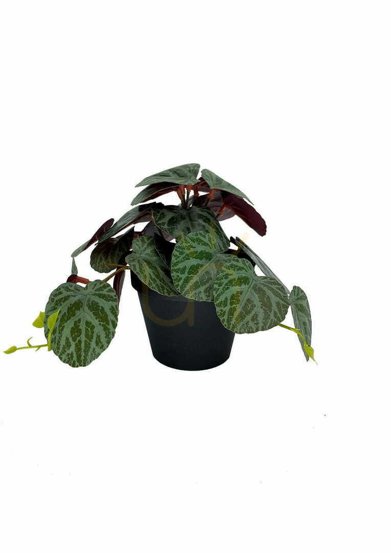 Kijelző Mesterséges Pilea növény 19 cm Mesterséges Pilea növény 19 cm