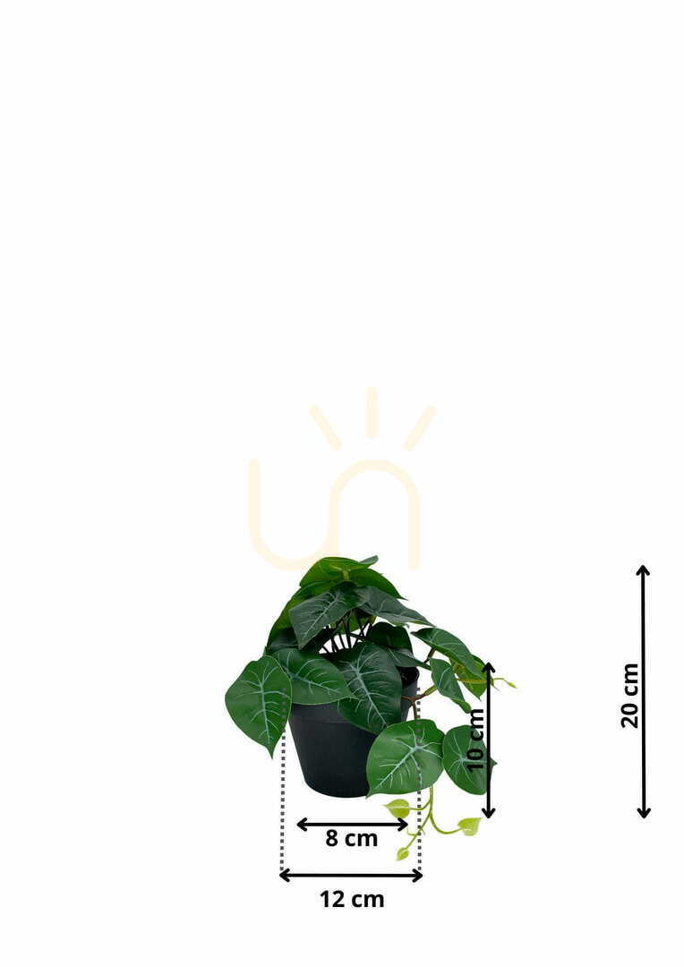 Kilátás Mesterséges filodendron növény 20 cm Mesterséges filodendron növény 20 cm