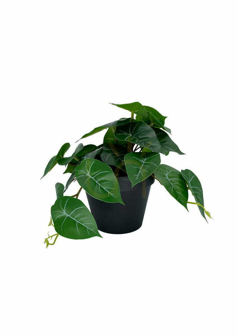 Előnézet Mesterséges filodendron növény 20 cm Mesterséges filodendron növény 20 cm