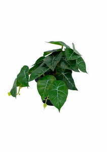 Mesterséges filodendron növény 20 cm 4 Mesterséges filodendron növény 20 cm small 4