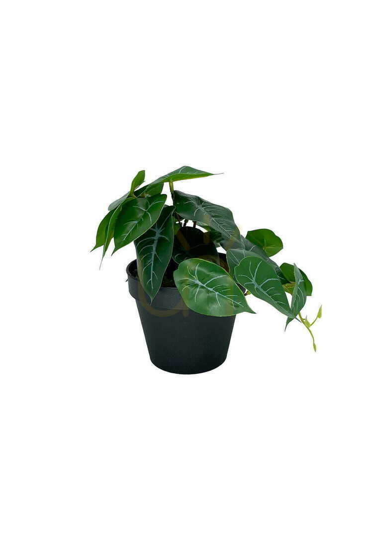Jelölje be Mesterséges filodendron növény 20 cm Mesterséges filodendron növény 20 cm