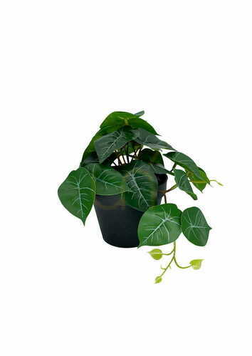 Jelölje be Mesterséges filodendron növény 20 cm