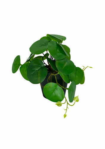 Jelölje be Mesterséges Pilea növény 20 cm