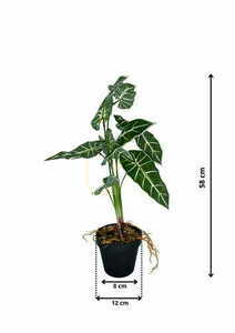 Alokazia Amazonica műnövény 58 cm. small 1